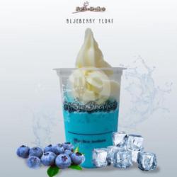 Blueberry Float