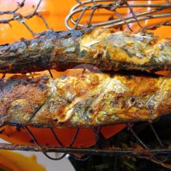 Nasi Bungkus   Ikan Dencis Bakar