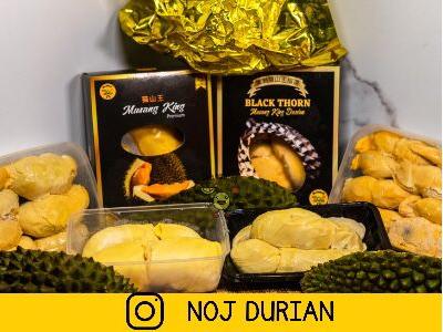 NOJ Durian, Taman Ratu