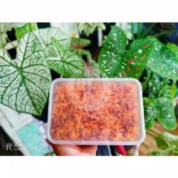 Keripik Kentang Mustofa Pedas Box 1000ml.