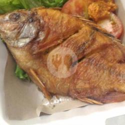 Ikan Kakap Merah Goreng