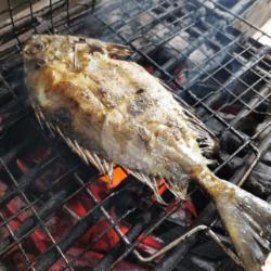 Ikan Lebam Bakar