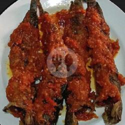 Ikan Lele Cabe Merah