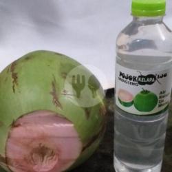 Kelapa Ijo Murni Botol Ukuran 500ml