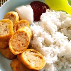 Tori Egg Roll Rice