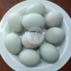 Telor Asin