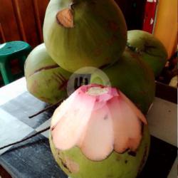 Kelapa Ijo Asli Besar