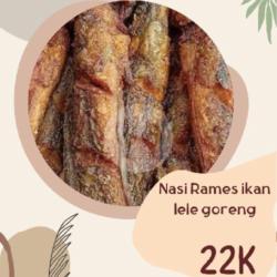 Nasi Rames Lele Goreng