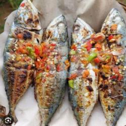 Ikan Tude Bakar Rica