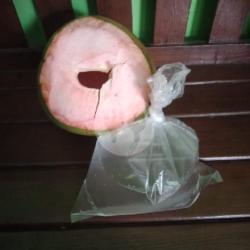 Kelapa Obat Wadah Plastik