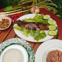 Nasi Ikan Kerapu Bakar/goreng Air Ron88 200ml