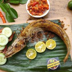 Ikan Baracuda Goreng