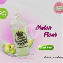 Melon Float Big Size (l)