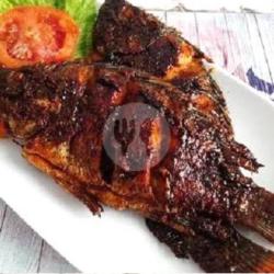 Paket Nila Bakar