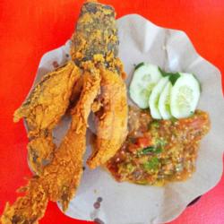 Lele Terbang Tanpa Nasi