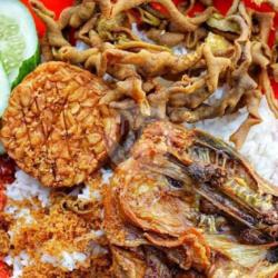 Nasi Ayam Kalasan Spesial Usus Tempe