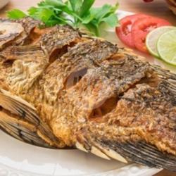Ikan Nila Goreng
