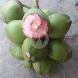 Kelapa Hijau Murni