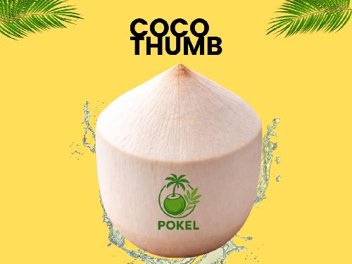 Kelapa Muda Pokel DT, Gegerkalong