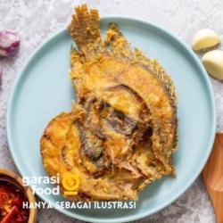 Ikan Mujair