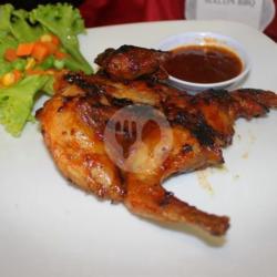 Burung Malon Bakar