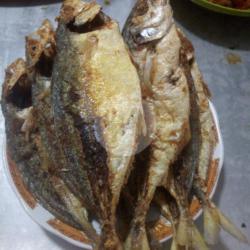 Ikan Kembung   Sayur