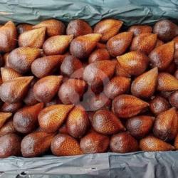 Salak Pondoh (sleman)