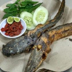 Ikan Lele Goreng