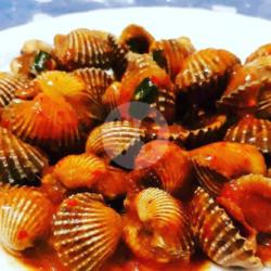 Kerang Dara Saos Tiram