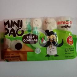 Mini Pao Rasa Coklat Frozen Isi 30