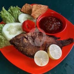 Nila Goreng (tanpa Nasi)   Tahu Tempe   Sambel Terasi