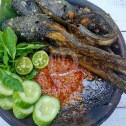 Lele Goreng   Nasi Free Teh Es