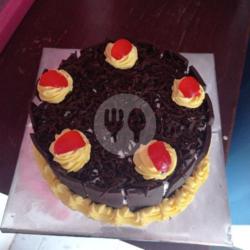 Blackforest Bulat Ktk 20