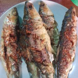 Ikan Bandeng Goreng