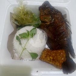 Nasi Nila Bakar Sambal Mantul/cabe Ijo Jkt
