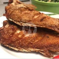 Ikan Kerapu Goreng