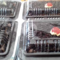 Black Forest Mini