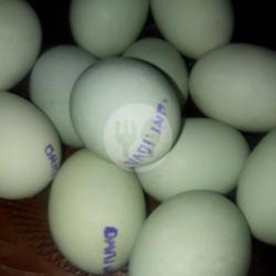 Telur Asin