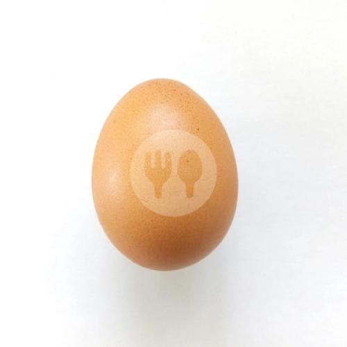 Telur