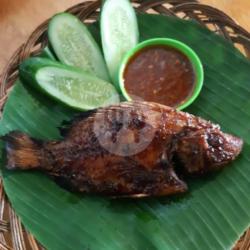 Ikan Nila Bakar Spesial   2 Varian Sambal   Lalapan   Free Sayur Asem