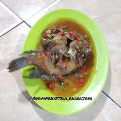 Nila Saus Tiram Tanpa Nasi