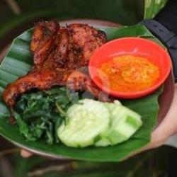 Burung Bakar Rica