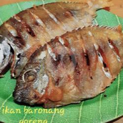 Ikan Baronang Size 3 Ons