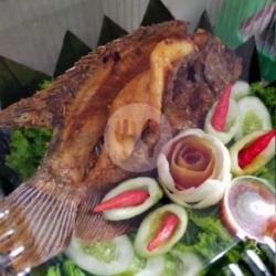 Gurame Goreng Sambel Kencur ( Po H - 1 )