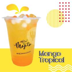 Meow Mango Tropical