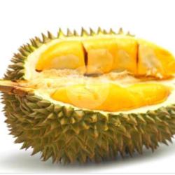 Terang Bulan Durian