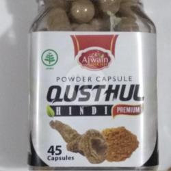 Qusthul Hindi