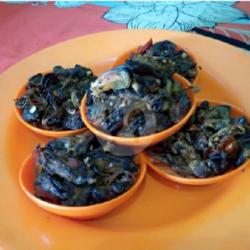 Kerang Laut