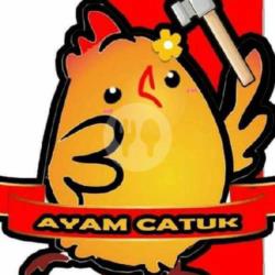 Ayam Catuk Sambal Jeruk   Nasi   Telur Dadar