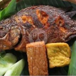 Nasi Timbel Ikan Nila Komplit